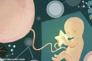 生殖内分泌专家